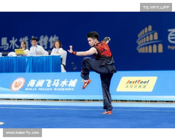 全运会武术项目：文化传承与竞技水平结合